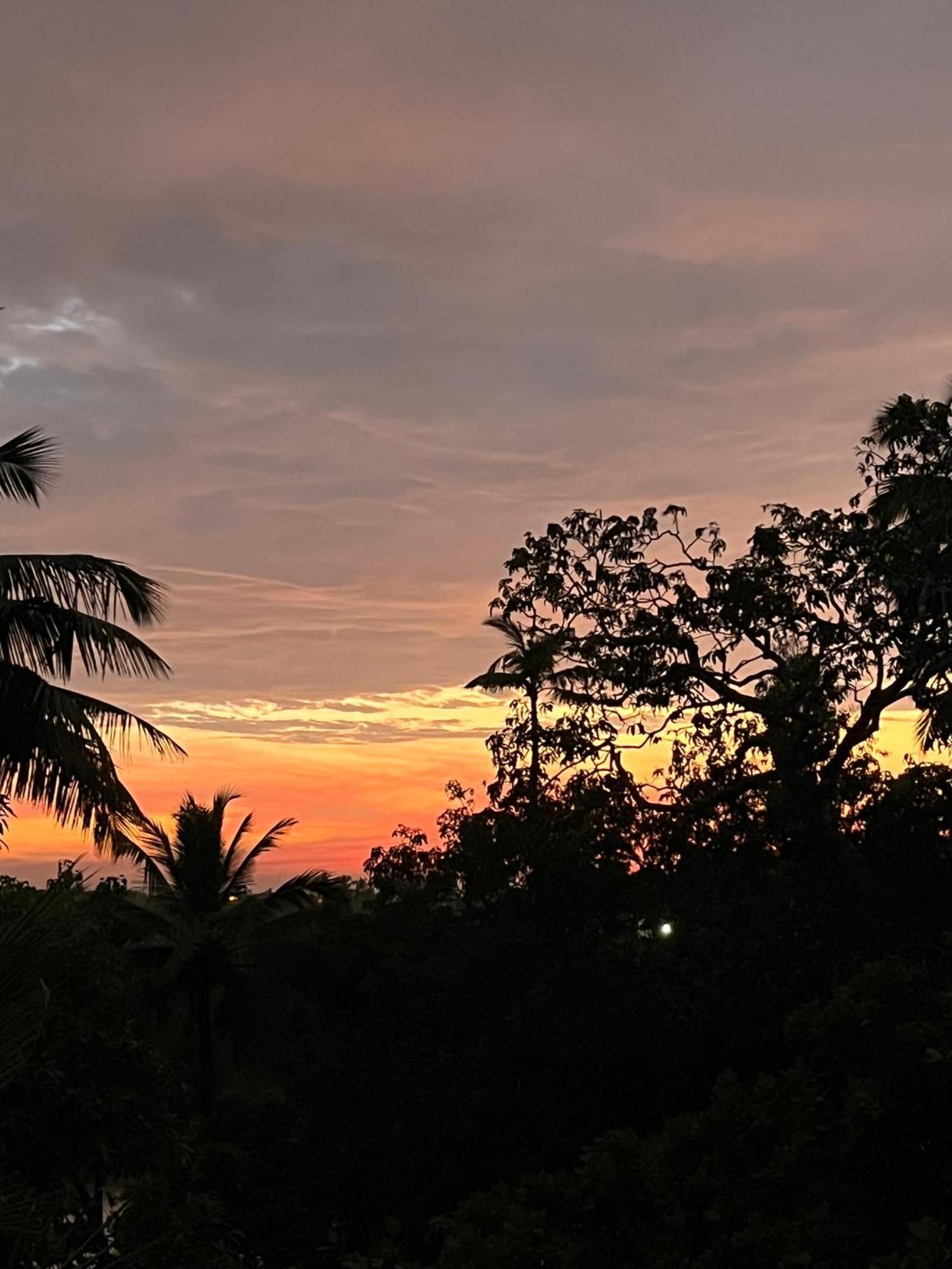 Green Nest Hostel, Baga- North Goa Arpora Dış mekan fotoğraf